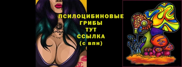 МДПВ Абинск