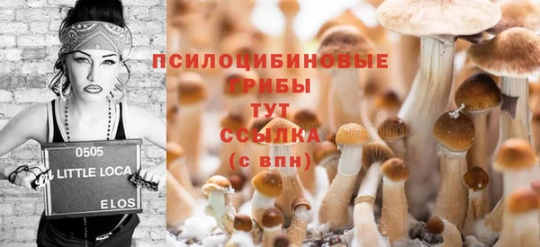 spice Алексеевка