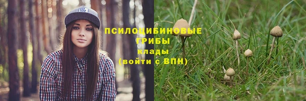 шишки Пестово