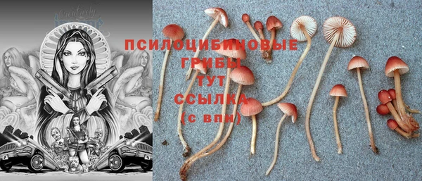 каннабис Алзамай