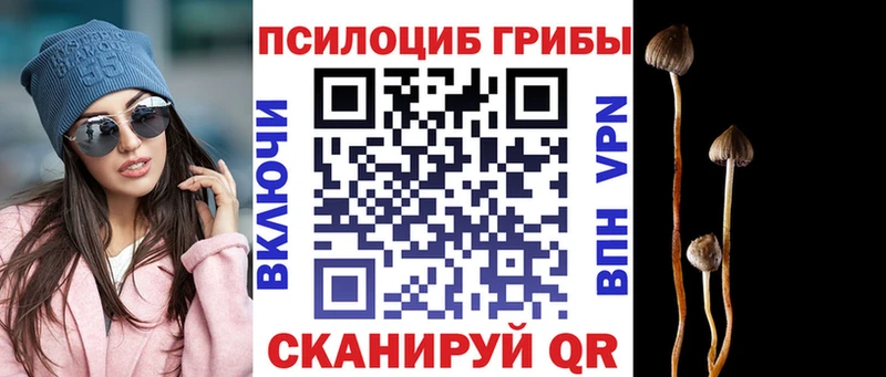 Галлюциногенные грибы Psilocybe что такое наркотик Анапа